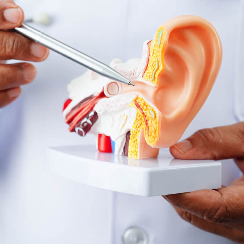 Patient Education
